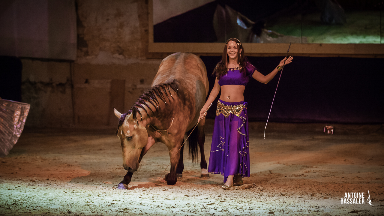 Début du spectacle d'arts équestres -- Arènes de Dax photo et image