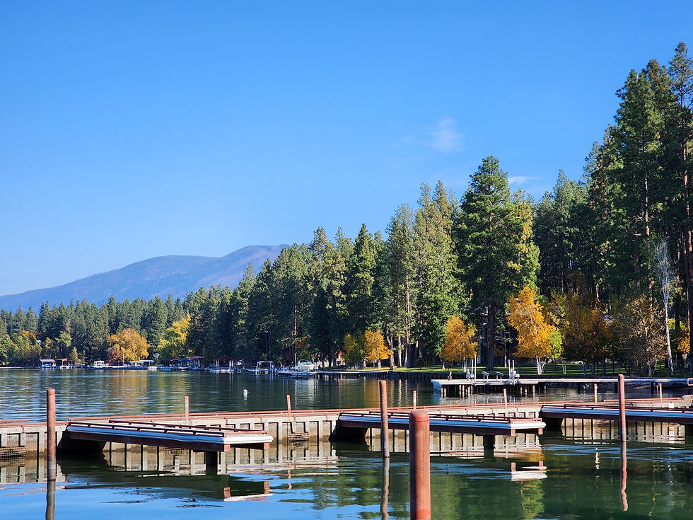 20241014_121418_resized