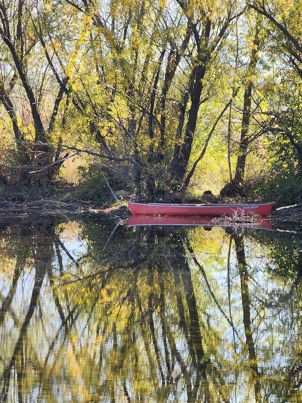 20241012_124021_resized