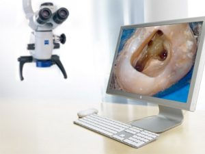 Dental Microscopy