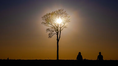 A romantic sunset silhouette of a couple sitting under a tree at Oliver’s Castle, Roundway, with a golden sky creating a breathtaking backdrop.