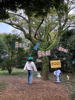 Jeju
