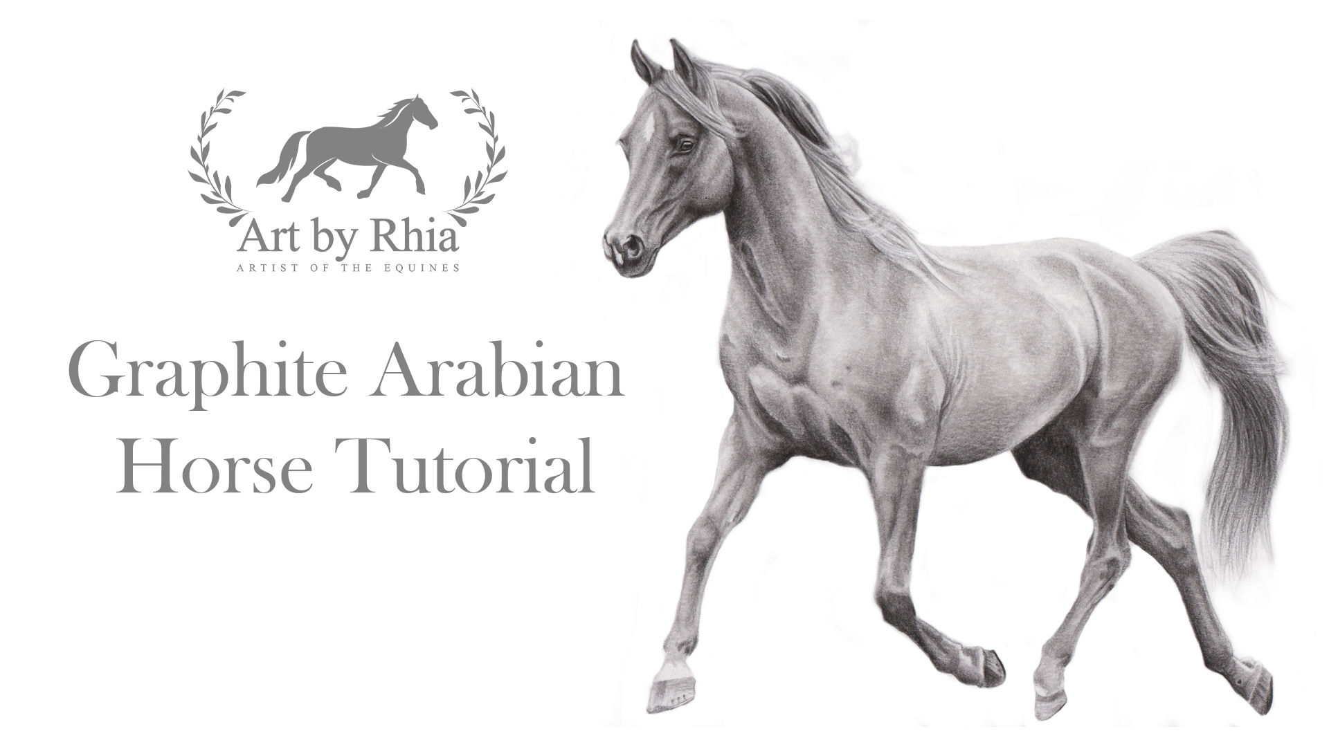 Graphite Arabian Horse Tutorial
