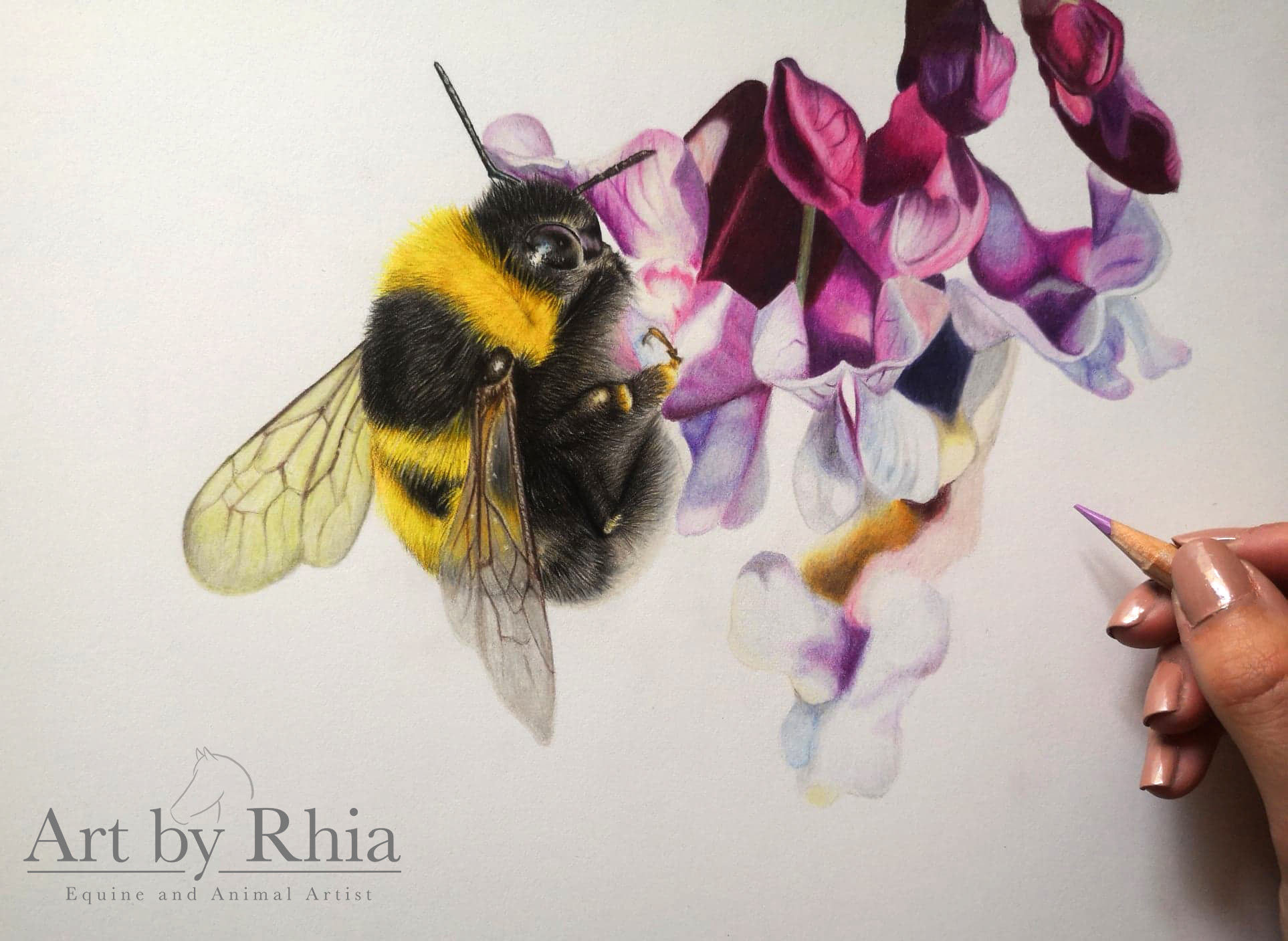 How to Draw a Bumblebee / Full Tutorial