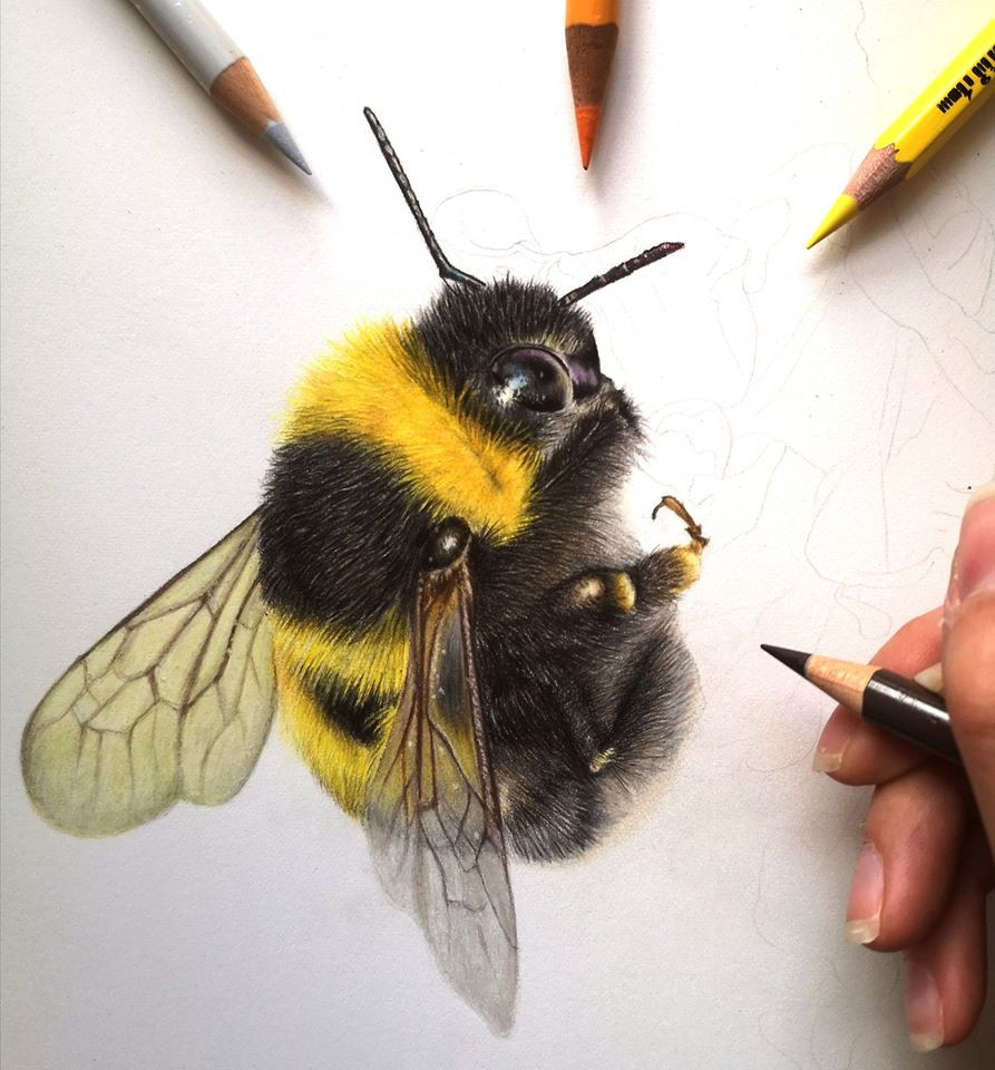 Thumbnail: Bee-lieve in Yourself / Fine Art Print