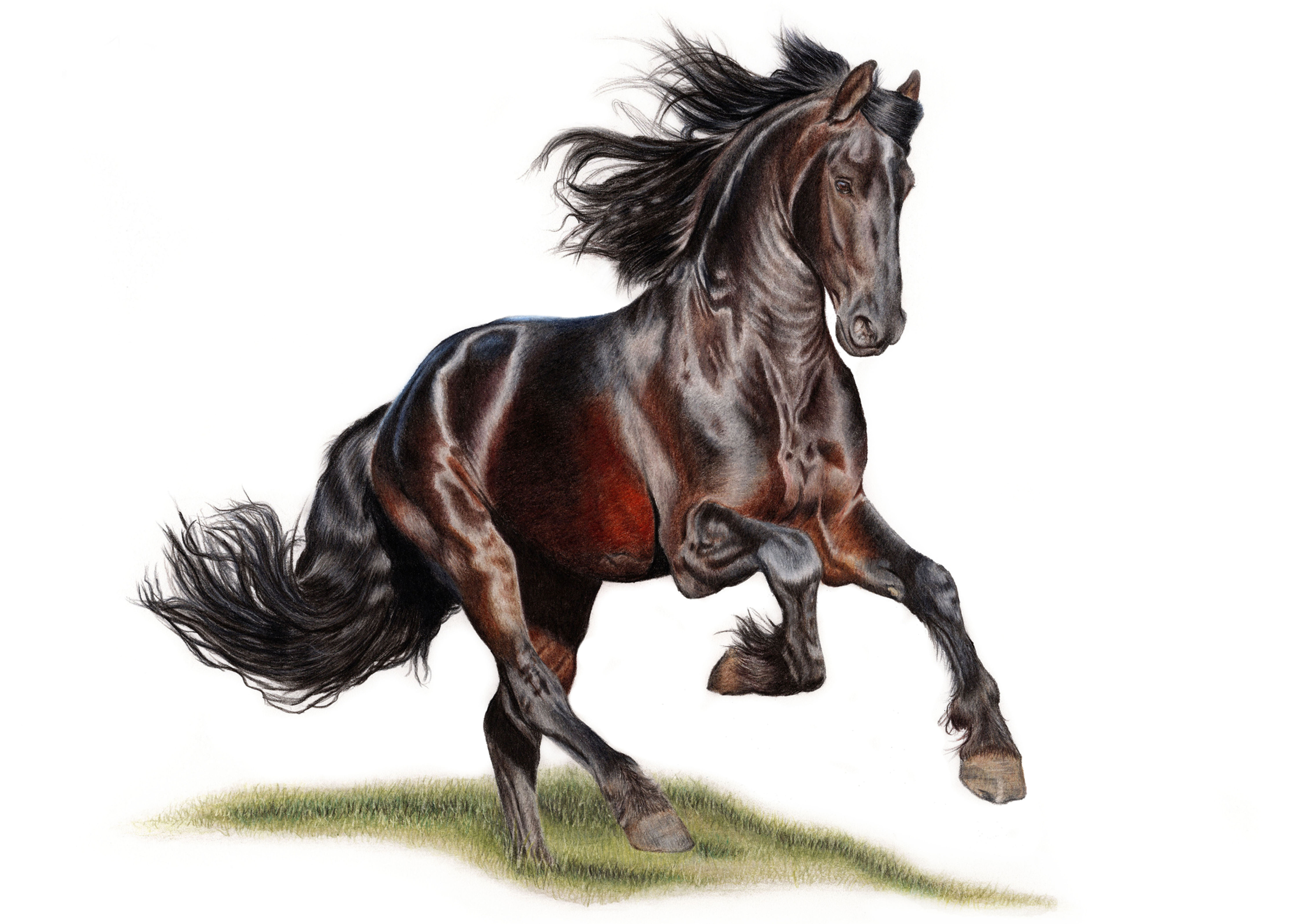 Master Pack of 8 Tutorials!