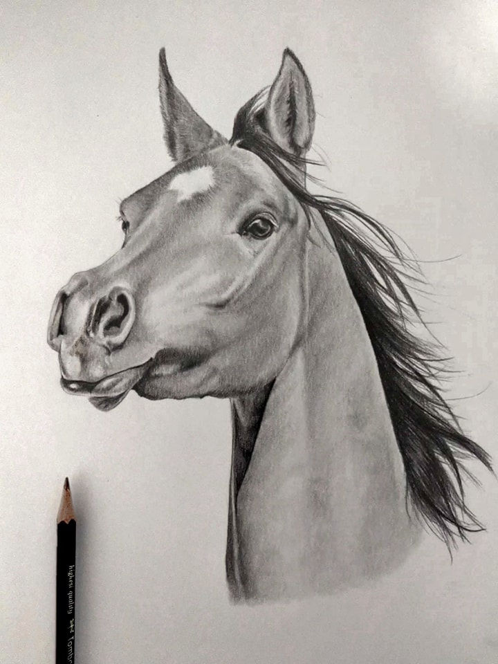 Thumbnail: Arabian Horse Head Fine Art Print