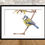Thumbnail: Blue Tit / Fine Art Print