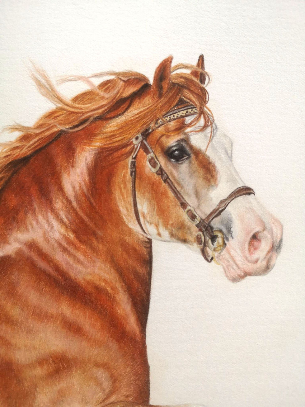 Thumbnail: Danaway Tango / Fine Art Print