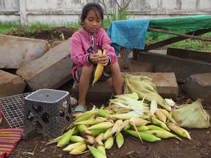 Empowering Rural Thai Communities Amidst Conflict