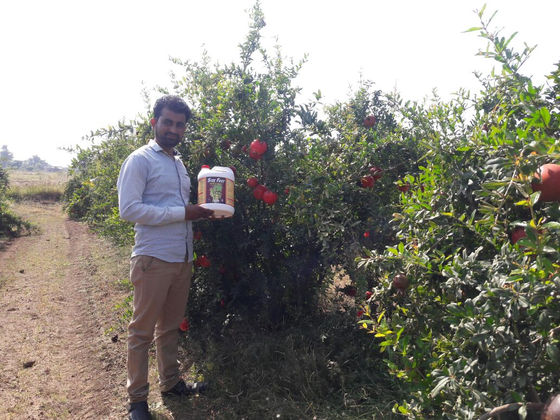 Anand Agro Care's 'Size Fast - Natural Bio Stimulant' product reviews by farmers of Sata
