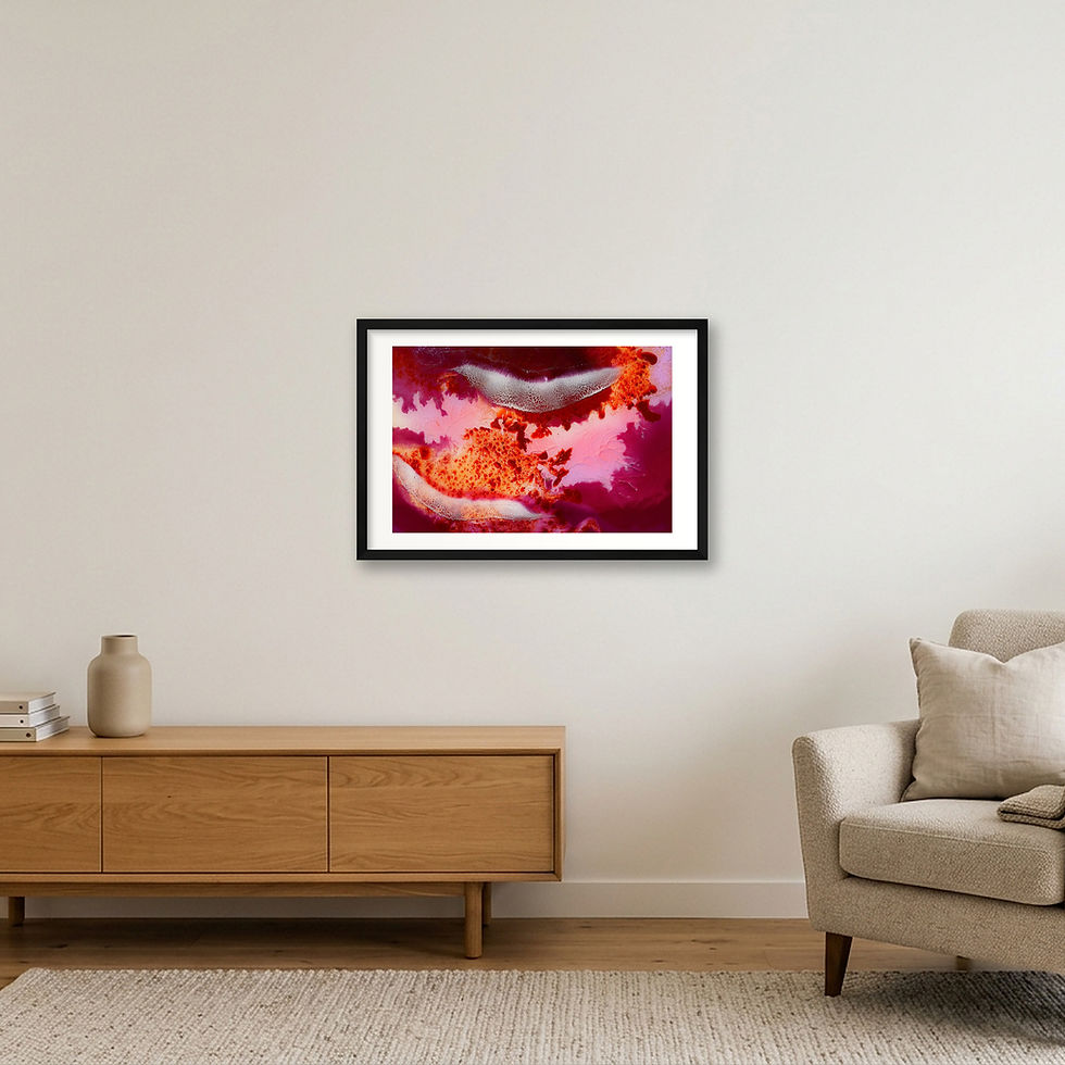 Thumbnail: WHERE SHE BLOOMS no. 3/3 - PRINT - Landscape