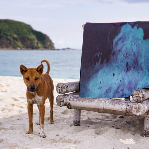 Cultivate Yoga x Zee van Gils