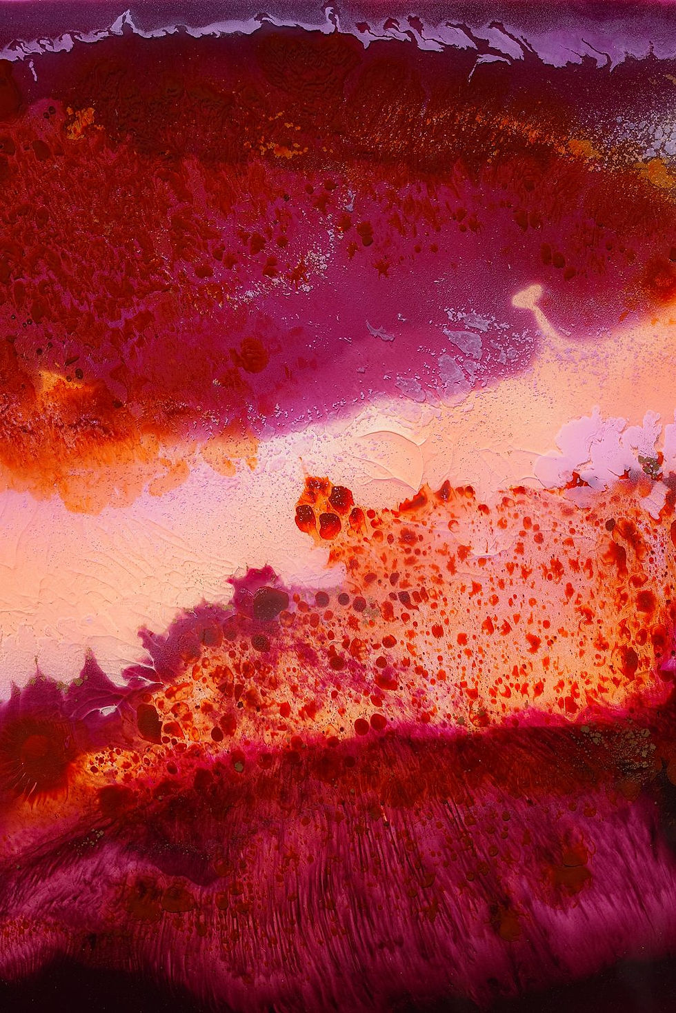 Thumbnail: THE SOFT AND THE WILD - PRINT