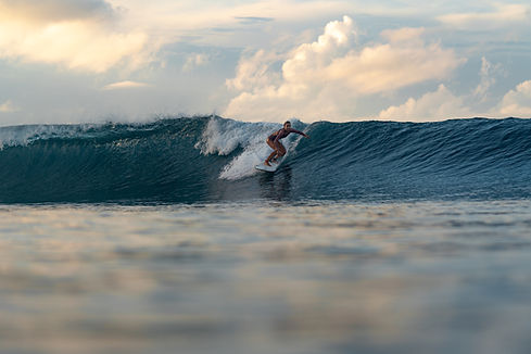 artist zee van gils surfing indonesia