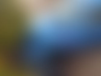 Brigada Militar atende ocorrência e realiza prisão por embriaguez ao volante