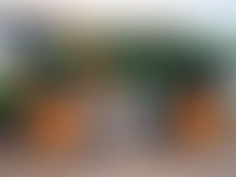 Stara recebe intercambistas da África do Sul para estágio na fábrica