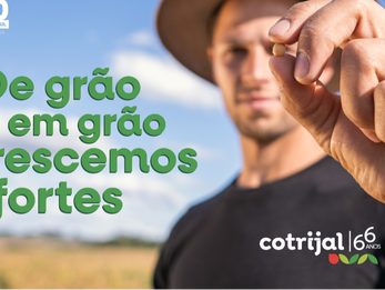 Cotrijal sobe no Ranking das maiores empresas do RS