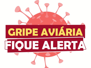 Laudo confirma gripe aviária em ave silvestre encontrada em Rio Pardo
