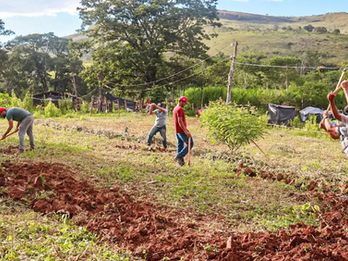 Justiça nega reintegração em fazenda ocupada pelo MST em Minas Gerais