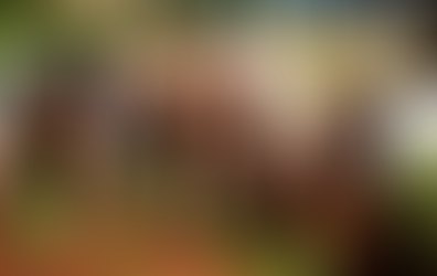 Parque da Expodireto Cotrijal recebe flores produzidas no projeto Viveiro de Cidadania