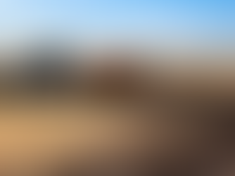 Sistemas de plantio: quais são, como funcionam e como escolher o ideal