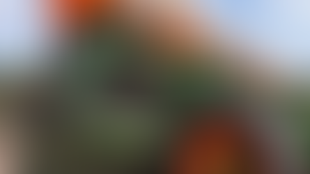 Semeadora agrícola: 7 erros comuns e como evitar