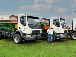 Uma história de evolução constante