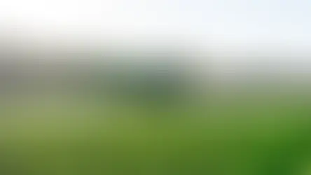 Stara - Pulverizador autopropelido: o que é e como funciona na prática?