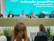 Potencial da Indicação Geográfica na erva-mate é destaque no Fórum Florestal