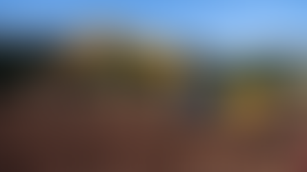 Em Muçum, terreno adquirido pelo Estado recebe terraplanagem para construção de moradias