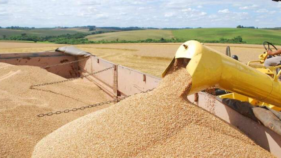 Produção de grãos no país pode chegar a 322,4 milhões de toneladas na safra 2024/25, estima Conab
