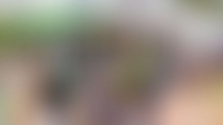 Sicredi destaca balanço positivo na 25ª Expodireto