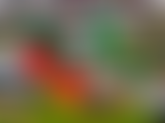 26ª Expodireto Cotrijal reafirma protagonismo como movimento de valorização do agro