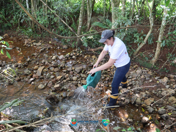 Mais de 140 litros de larvicida aplicados no município