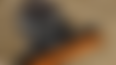 Bravíssima: conheça a nova plataforma de milho da Stara