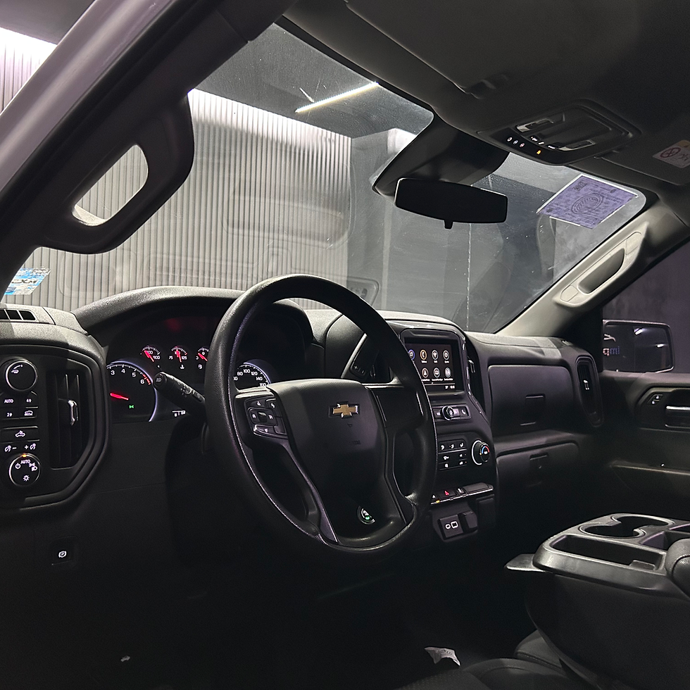 Miniatura: CHEVROLET SILVERADO 2023 #6