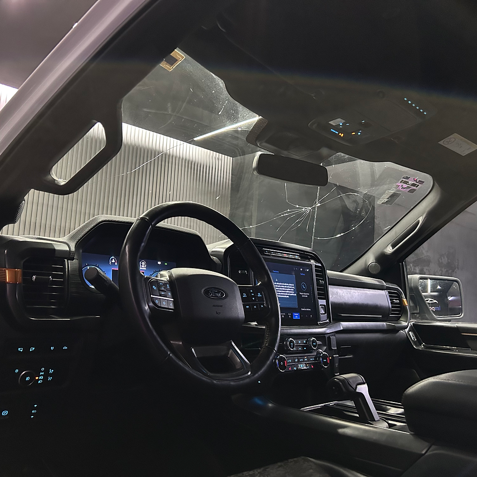 Miniatura: FORD LOBO TREMOR 2024 #1