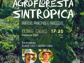 Agro Floresta Sintrópica - Curso
