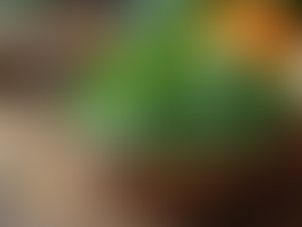 Low Iron, Woman and Periods. Why Does it Happen and How Can We Help Recognise and Reduce the Risks.