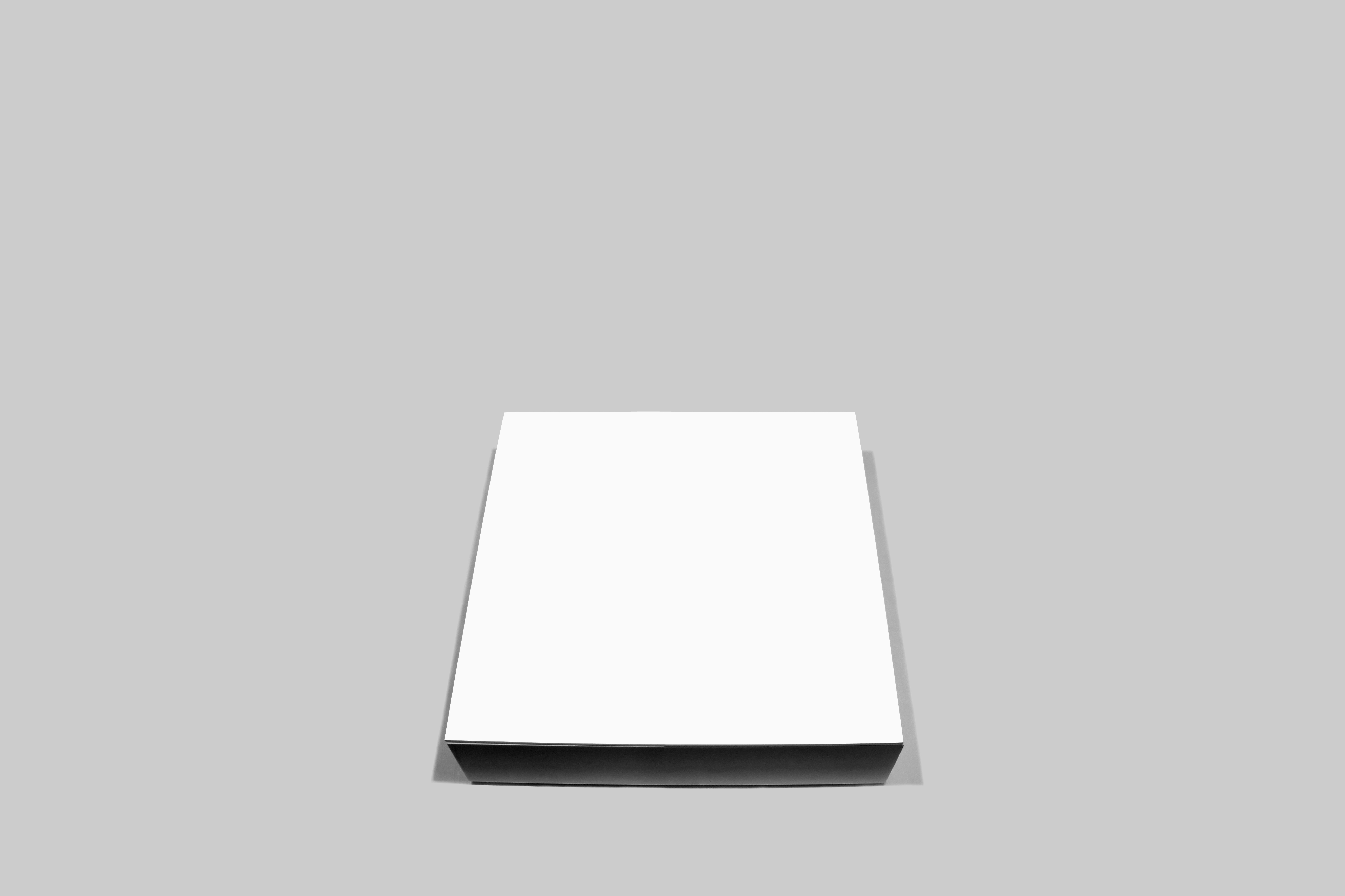 Tapetum Lucidum Ismaelmonticelli tapetum-lucidum-ismaelmonticelli