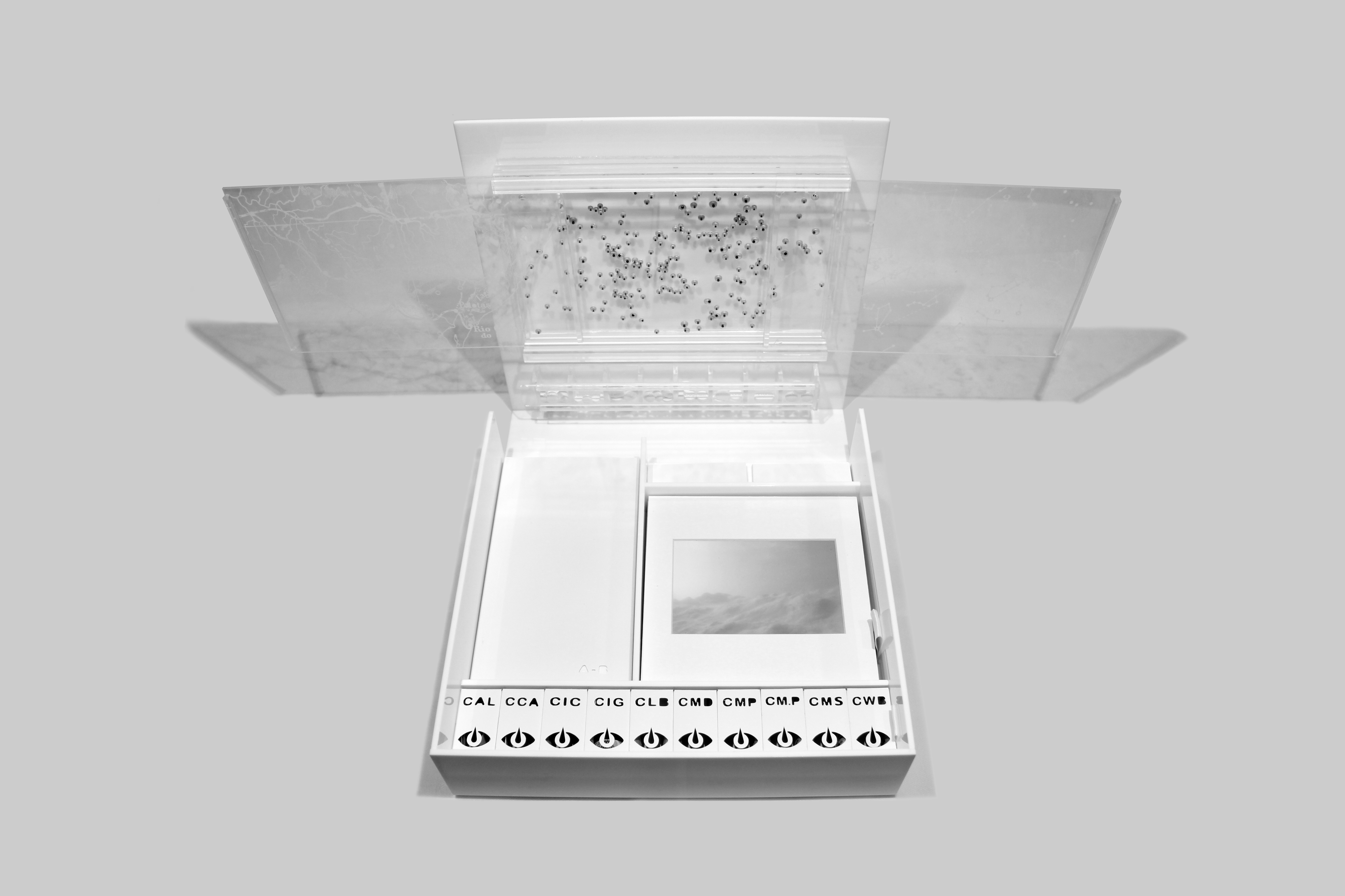 Tapetum Lucidum Ismaelmonticelli tapetum-lucidum-ismaelmonticelli