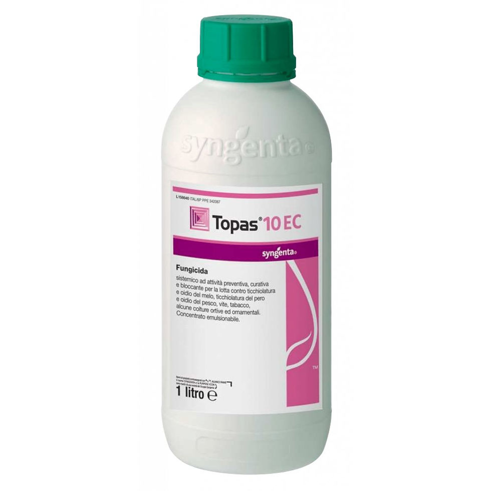 Impatto del fungicida tebuconazolo sulla qualità dello sperma dei fuchi