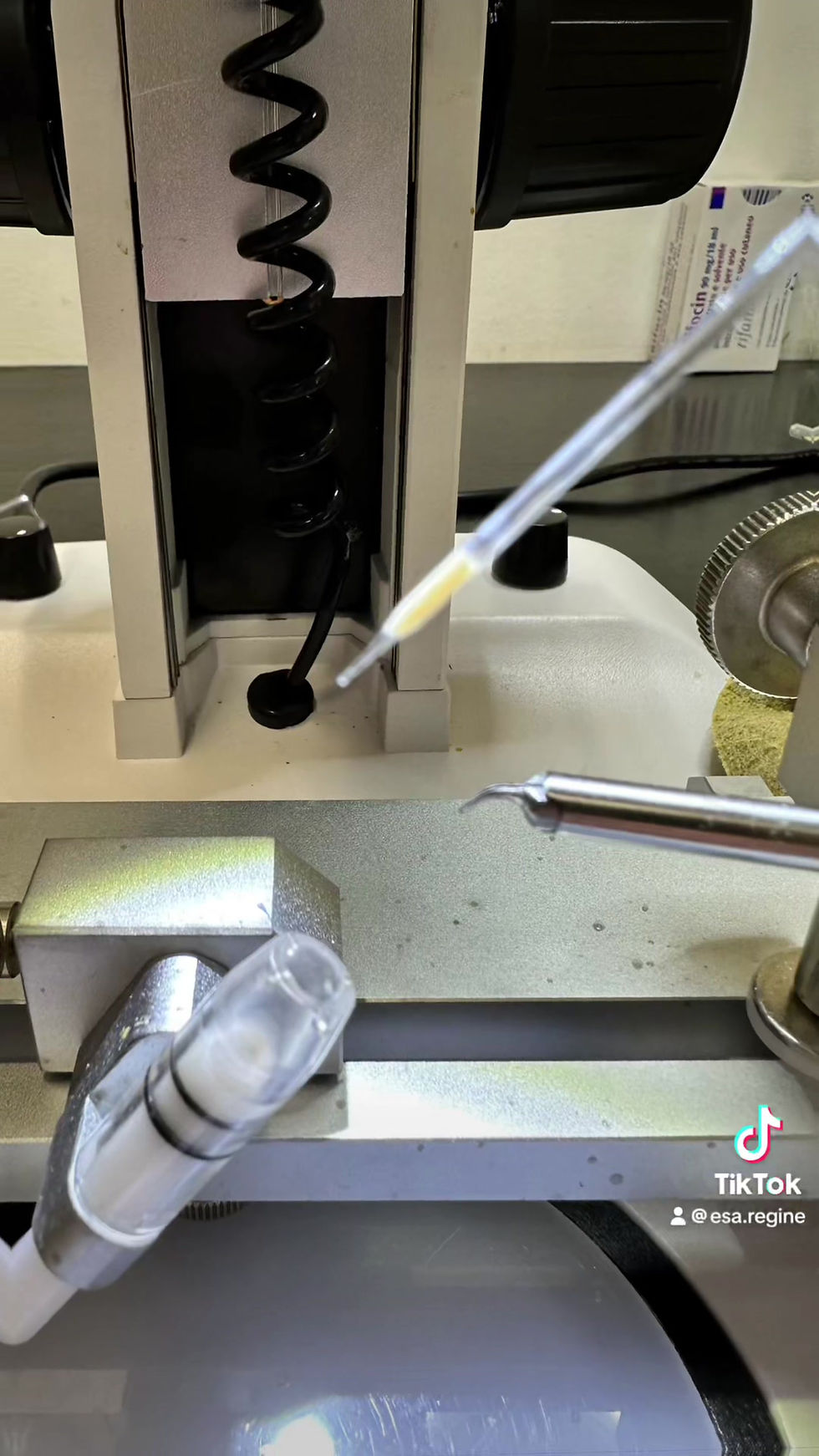 Miniaturbild: Inseminazione strumentale in azienda