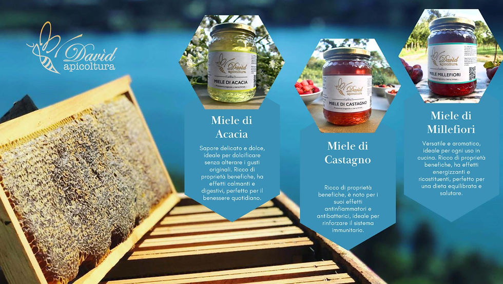 Miniatura: Miele millefiori e di castagno