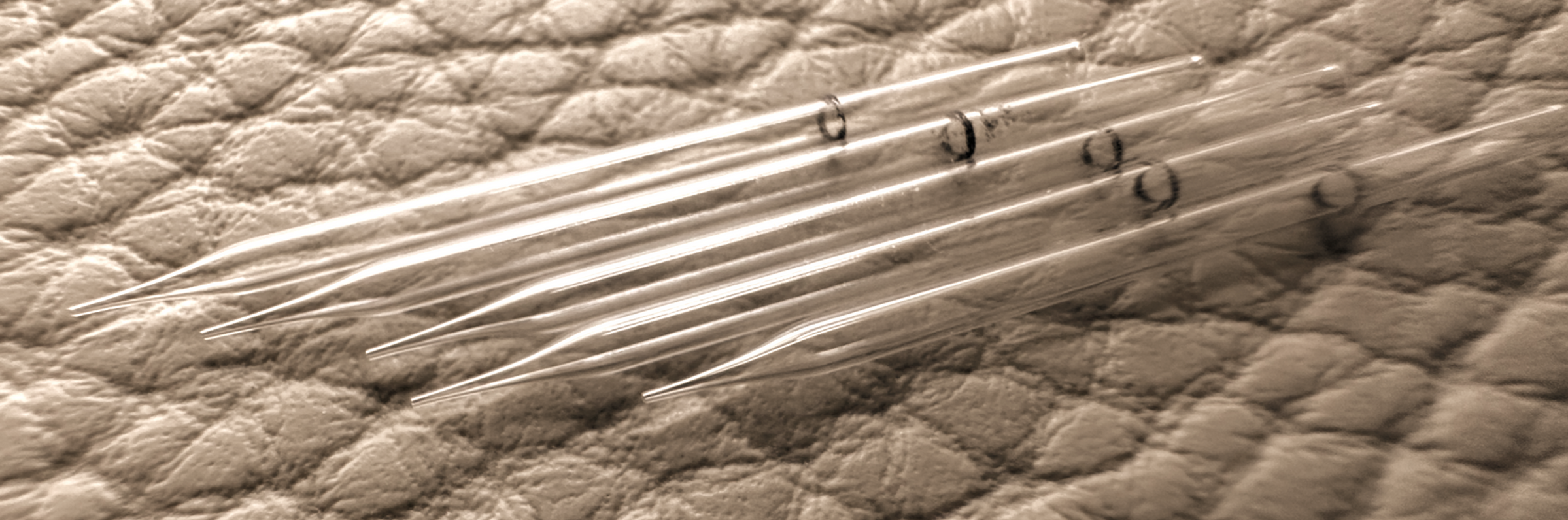 Punta siringa capillare HARBO SCHLEY inseminazione strumentale api regine