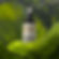 PROPOLIS - 30 ml