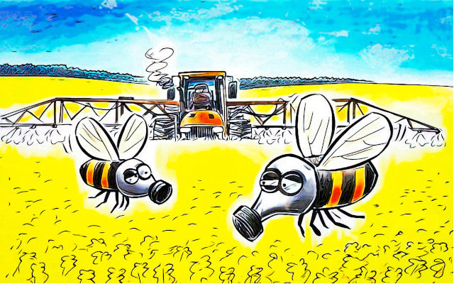 le molecole dei pesticidi vengono trasportati dalle api nell'alveare compromettendone la capacità decisionale, anche rispetto alla reale bontà di una regina