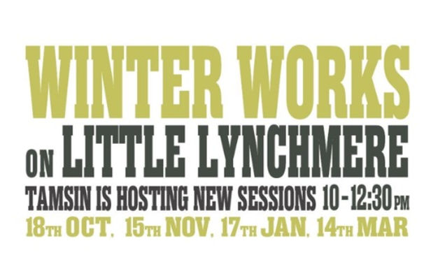 First of four gatherings to clear invasive growth from Little Lynchmere Common.