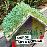 Screen Shot 2025-06-13 at 7.18.47 AM.png